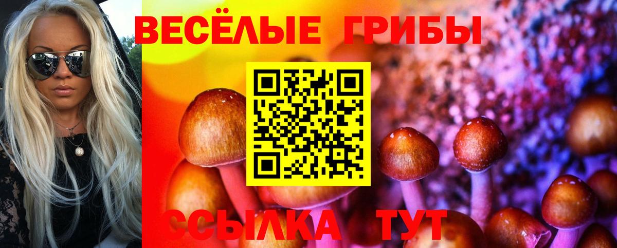 Биробиджан  Галлюциногенные грибы мухоморы  Псилоцибиновые грибы GOLDEN TEACHER  Вход с VPN 